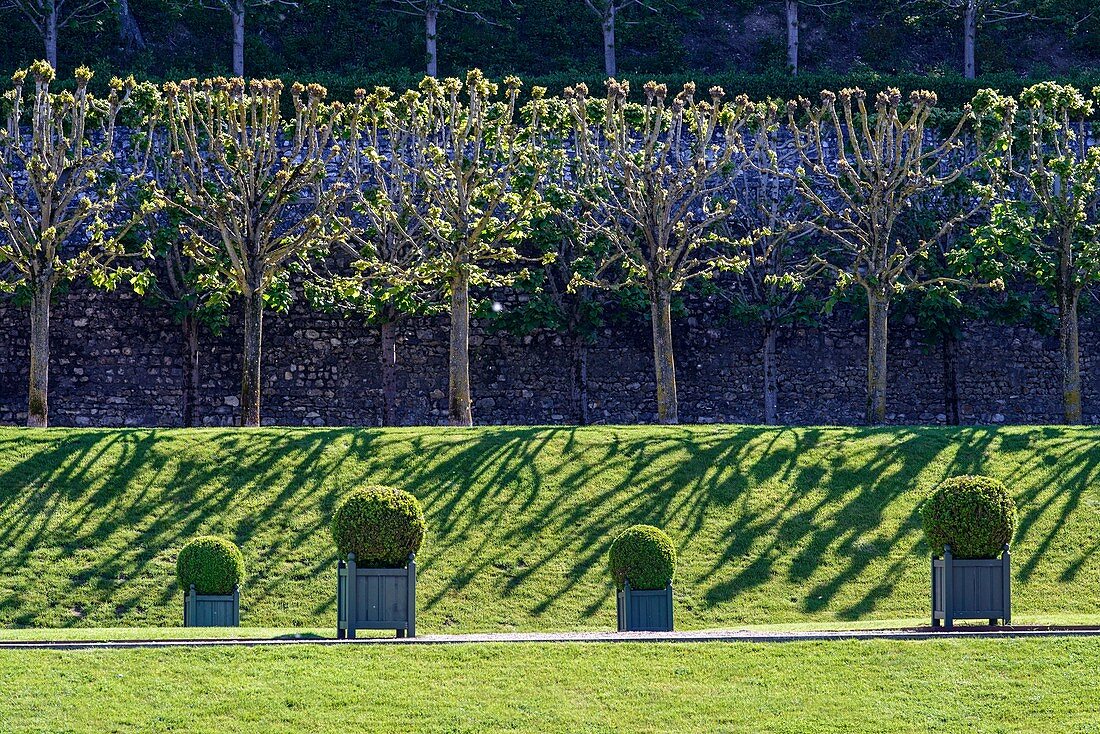 Frankreich, Loiretal, von der UNESCO zum Weltkulturerbe erklärt, Indre et Loire, Gärten des Schlosses von Villandry