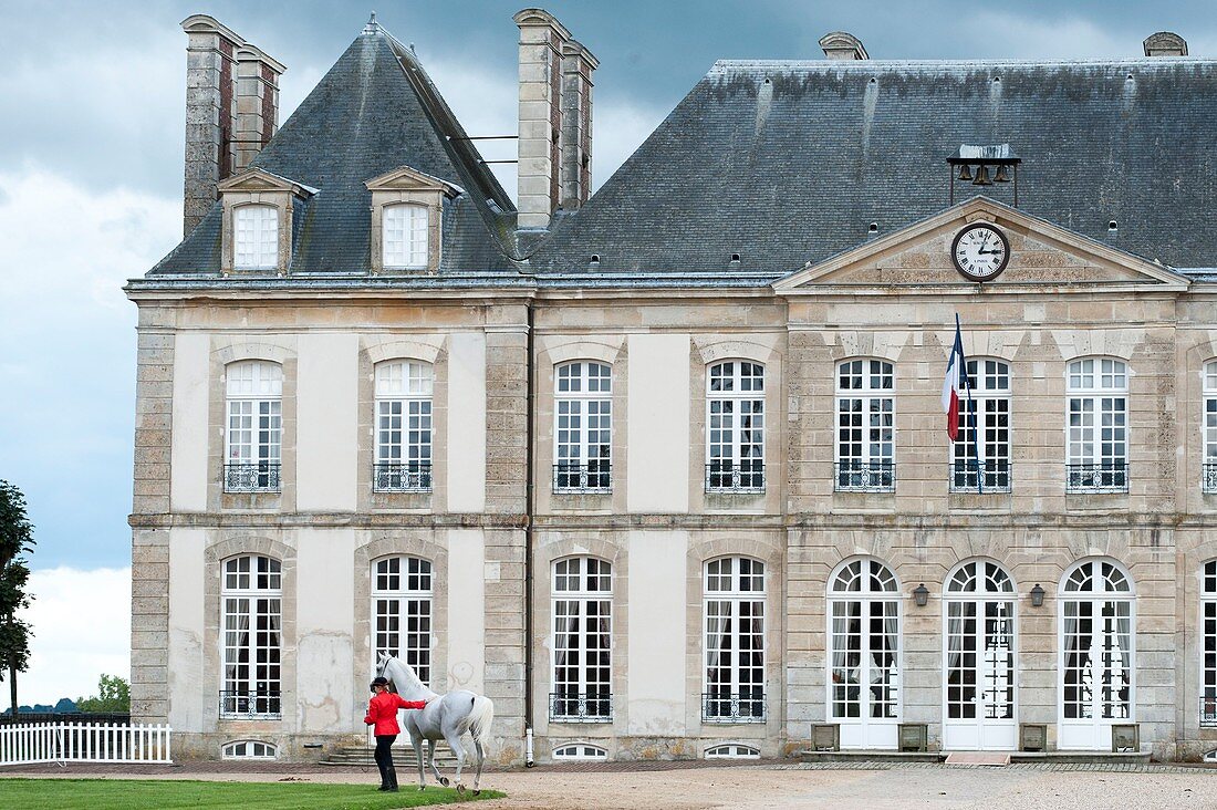 Frankreich, Orne, The Pin au Haras, Pin National Stud, Präsentation im Hof des Schlosses