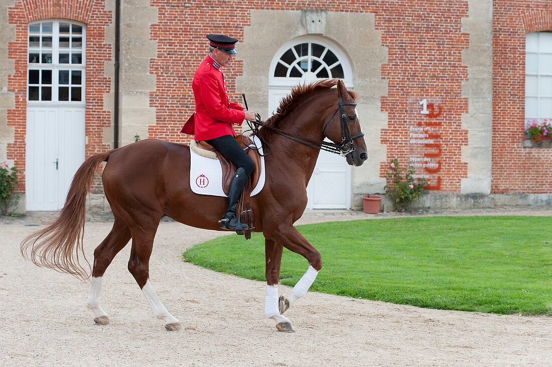 Frankreich, Orne, Pin au Haras, Gestüt Pin National, Präsentation der Dressur im Hof des Schlosses