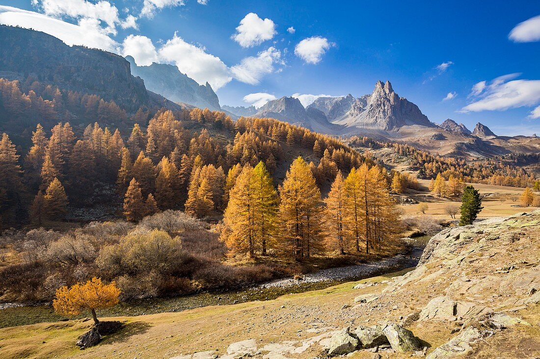 Frankreich, Hautes Alpes, Nevache, Claree-Tal, im Hintergrund das Massiv von Cerces (3093 m) und die Gipfel des Main de Crepin (2942 m)