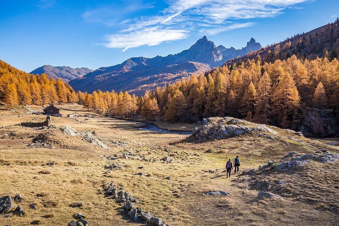 France, Hautes Alpes, Nevache, hikers in the valley of Claree, in the background the peaks of the Black Rock and the Black Head