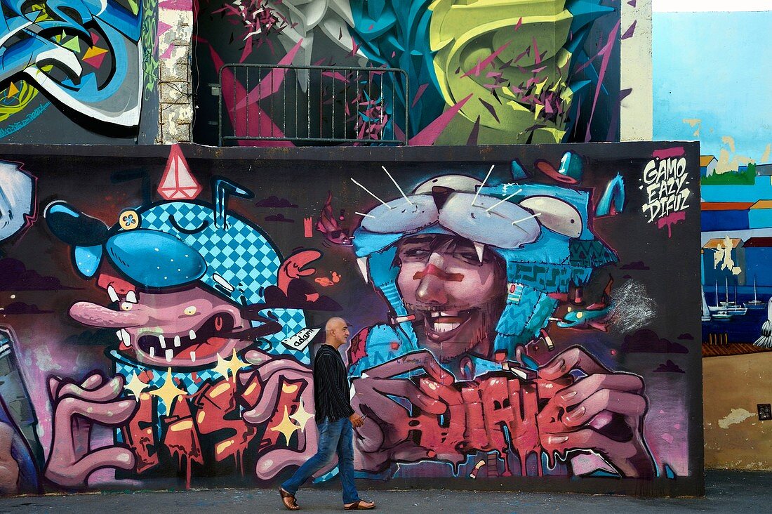 France, Bouches du Rhone, Marseille, Panier district, rue du Petit Puits, graff from the graffiti artist Pierre aka alias Gamo