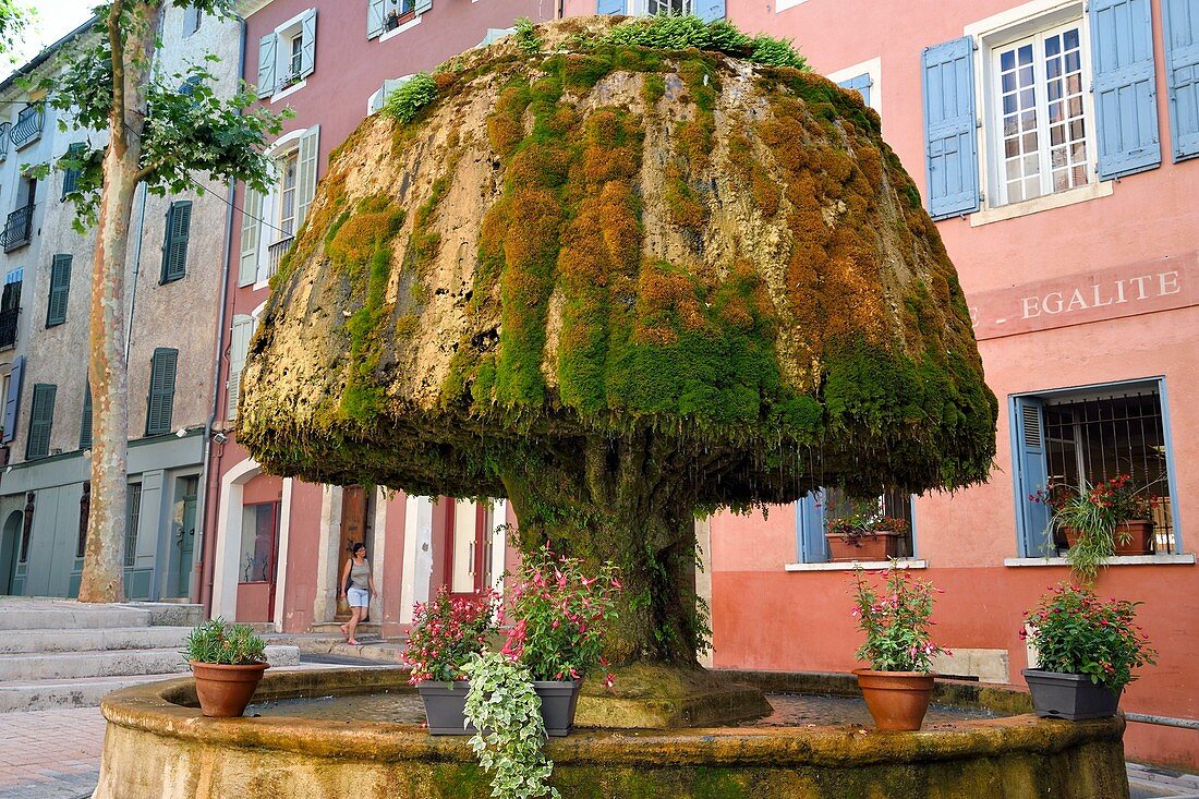 Frankreich, Var, Provence Verte, Barjols, Brunnen mit Tuff und Moos vor dem Rathaus