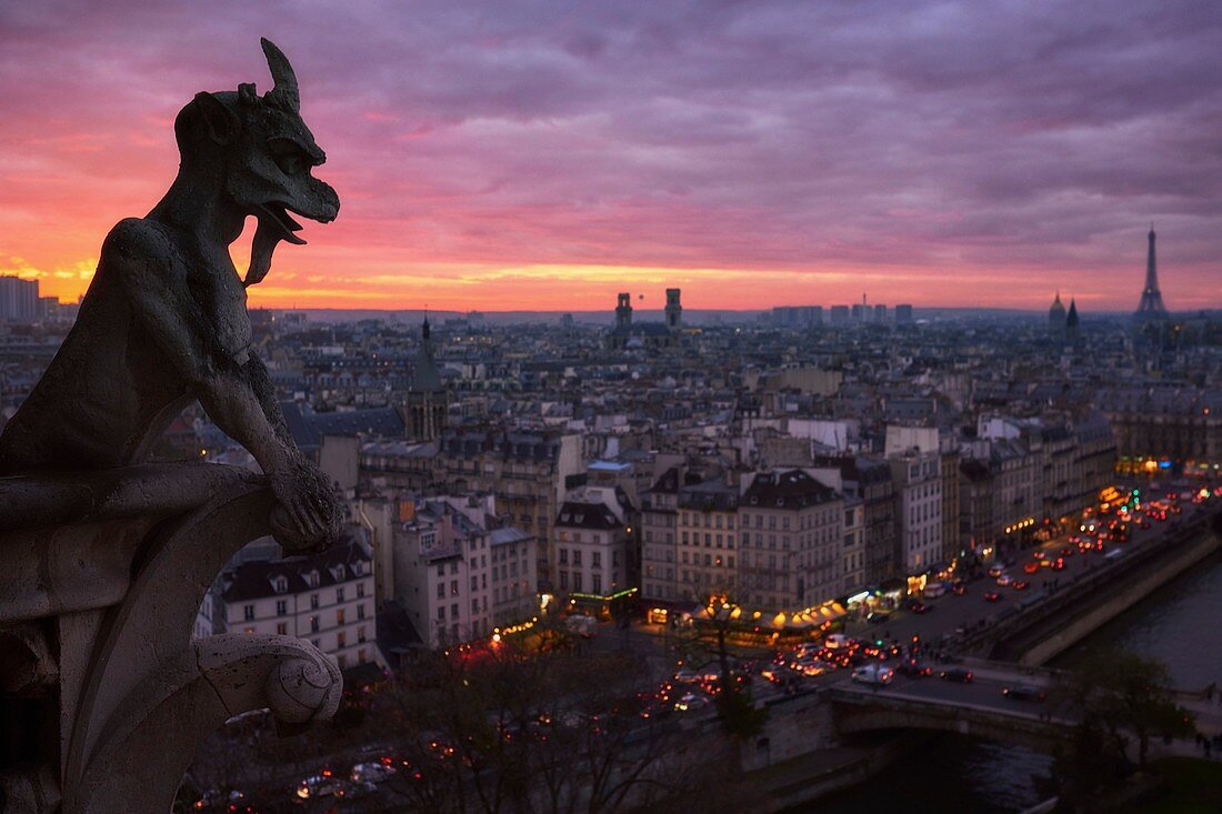 Frankreich, Paris, Paris, Gebiet, das von der UNESCO zum Weltkulturerbe erklärt wurde, ein Wasserspeier von Notre Dame von Paris bei Sonnenuntergang