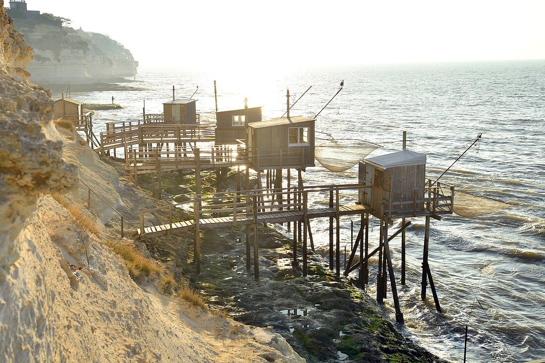 France, Charente Maritime, Gironde Estuary, Meschers-sur-Gironde, Carrelets (fisherman's hut) or square dipping nets