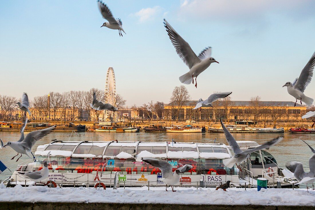 Frankreich, Paris, Gebiet, das von der UNESCO zum Weltkulturerbe erklärt wurde, die Grande Roue am Place de la Concorde, Schneefälle am 07/02/2018