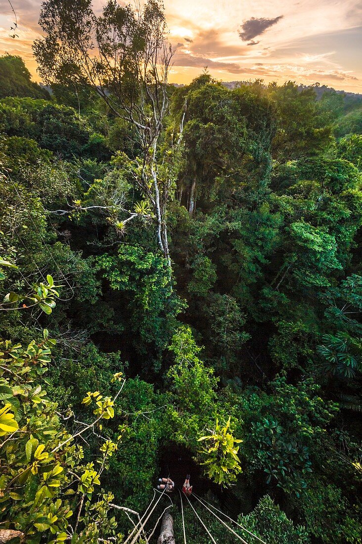 Frankreich, Französisch-Guayana, Kourou, Camp Canopee, Klettern mit einem Seil zum Baldachin, 36 m über dem Boden