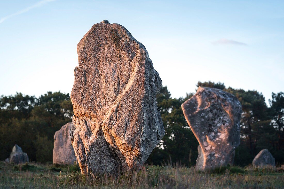 France, Morbihan, Carnac, Kermario alignments