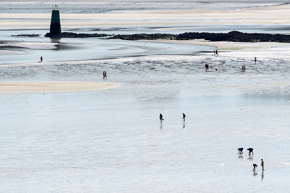 France, Finistere, Locquirec, fishing on foot at low tide in the bay of Locquirec