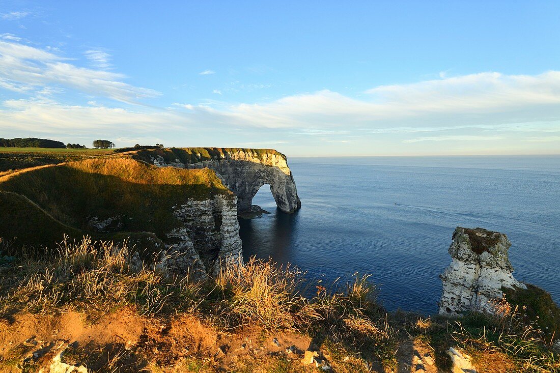 France, Seine Maritime, Pays de Caux, Cote d'Albatre (Alabaster Coast), Etretat, the Aval cliff, the Manneporte