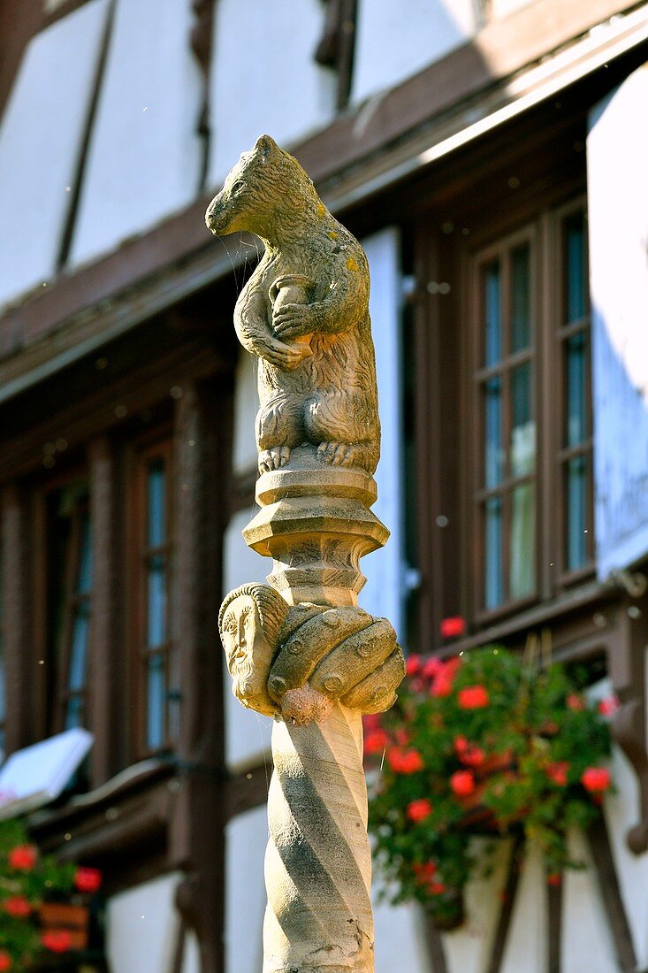 Frankreich, Bas Rhin, Elsässische Weinstraße, Dambach la Ville, Bärenbrunnen