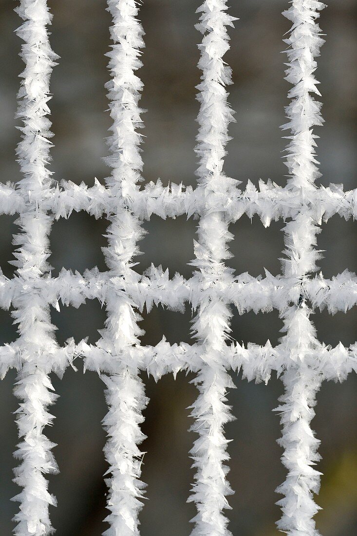 France, Doubs, barrier covered with frost