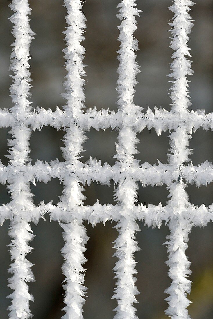 Frankreich, Doubs, mit Frost bedeckte Barriere