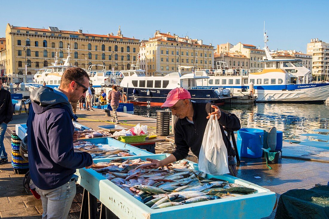 France, Bouches du Rhone, Marseille, Old Port, the fish market