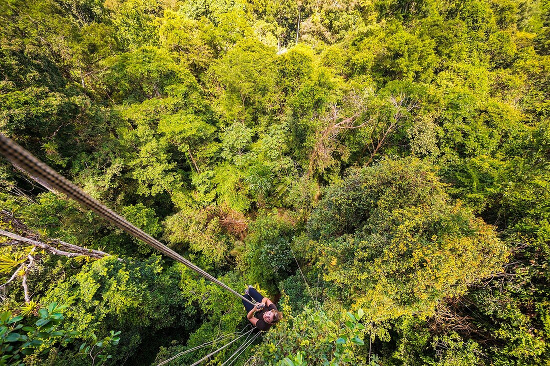 France, French Guiana, Kourou, Camp Canopee, Climbing with a rope to the canopy, 36 m above the ground