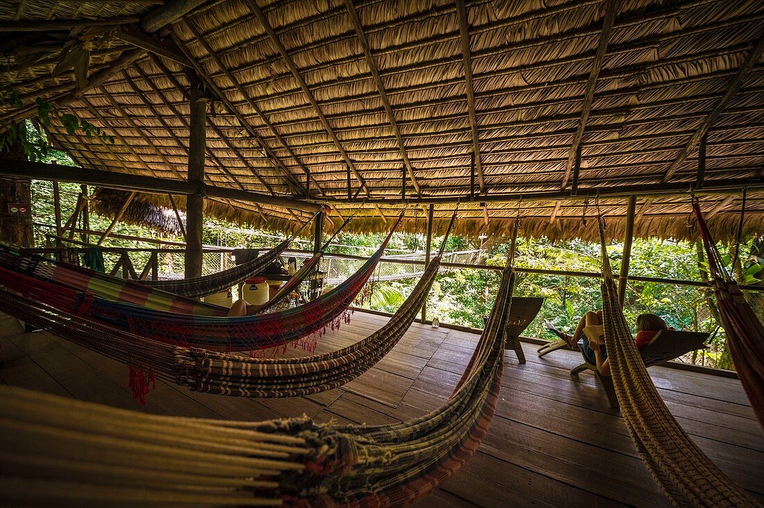 France, French Guiana, Kourou, Camp Canopee, Resting hut with hammocks perched at 10 m from the ground
