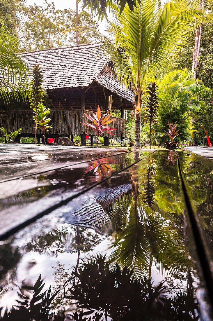 France, French Guiana, Kourou, Main hut of relaxation and restoration after the rain, Wapa Lodge