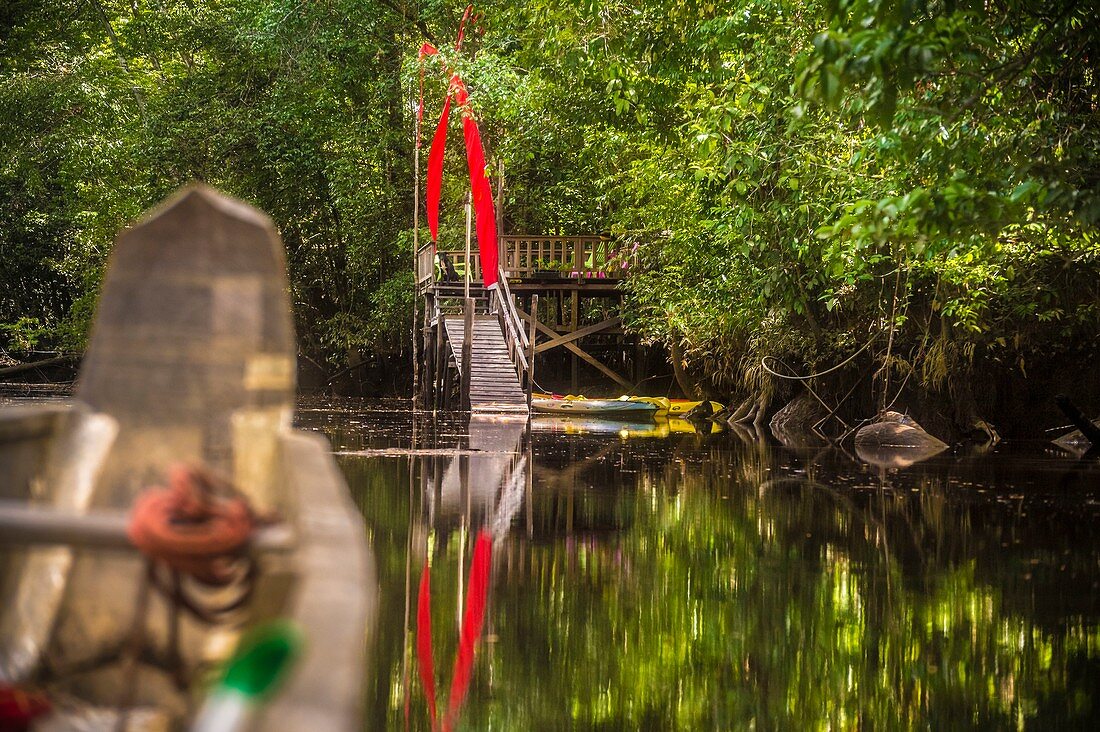 France, French Guiana, Kourou, Wapa Lodge access pontoon on the Kwi river, tributary of the Kourou river