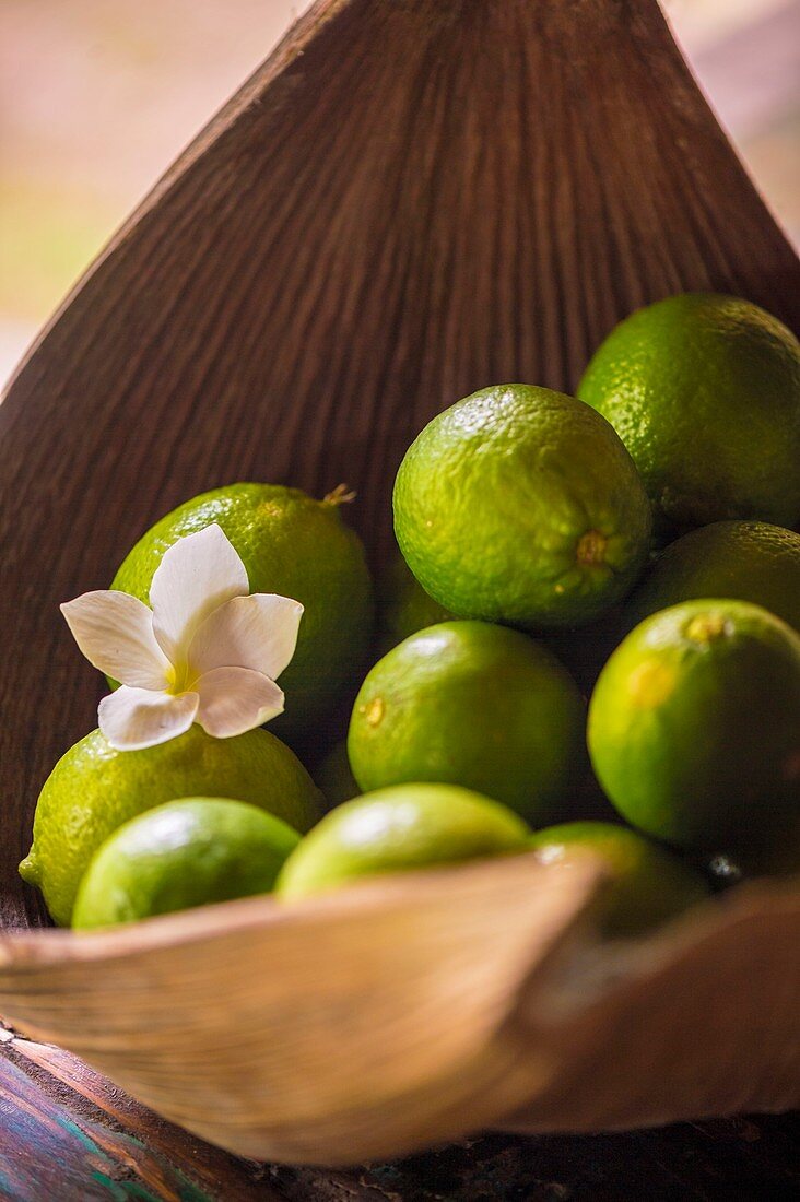 France, French Guiana, Kourou, Wapa Lodge, Decorative cup of limes in a palm