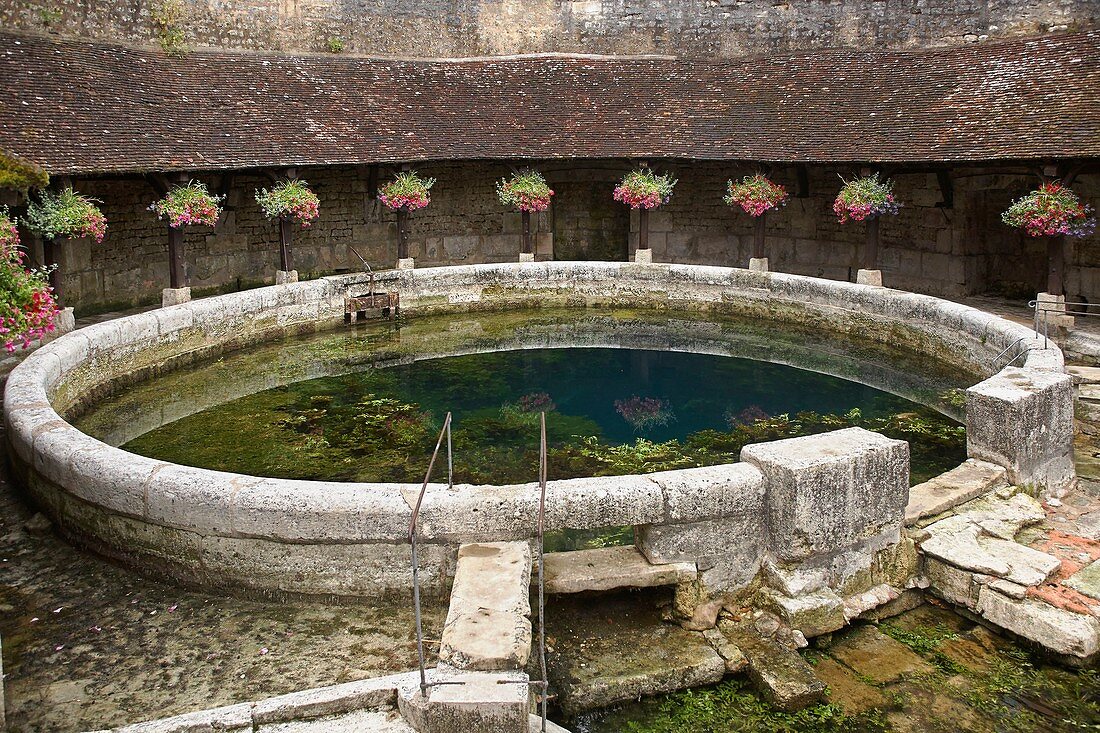 France, Yonne, Tonnerre, Washhouse of the Dionne Pit, Circular basin