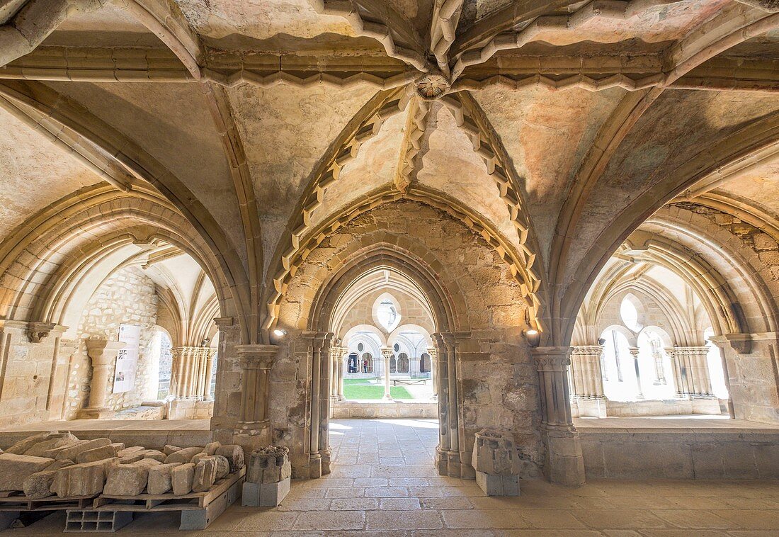France, Correze, Tulle, cloister of Notre dame cathedral, chapter house, Vezere valley