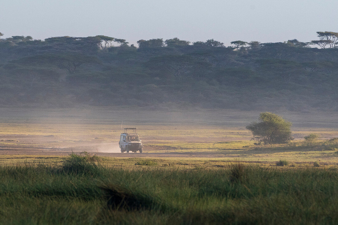 Safari-Fahrzeug, Ndutu, Ngorongoro Naturschutzgebiet, Serengeti, Tansania