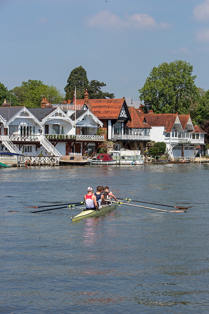 Rowers on the River Thames in front of boathouses on Wharf Lane, Henley-upon-Thames, Oxfordshire, England