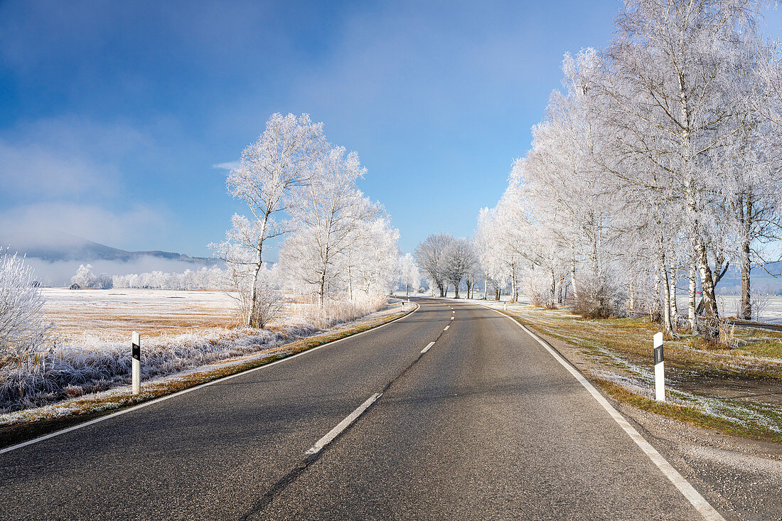 Country road between Schlehdorf and Kochel am See on a frosty morning, Bavaria, Germany.