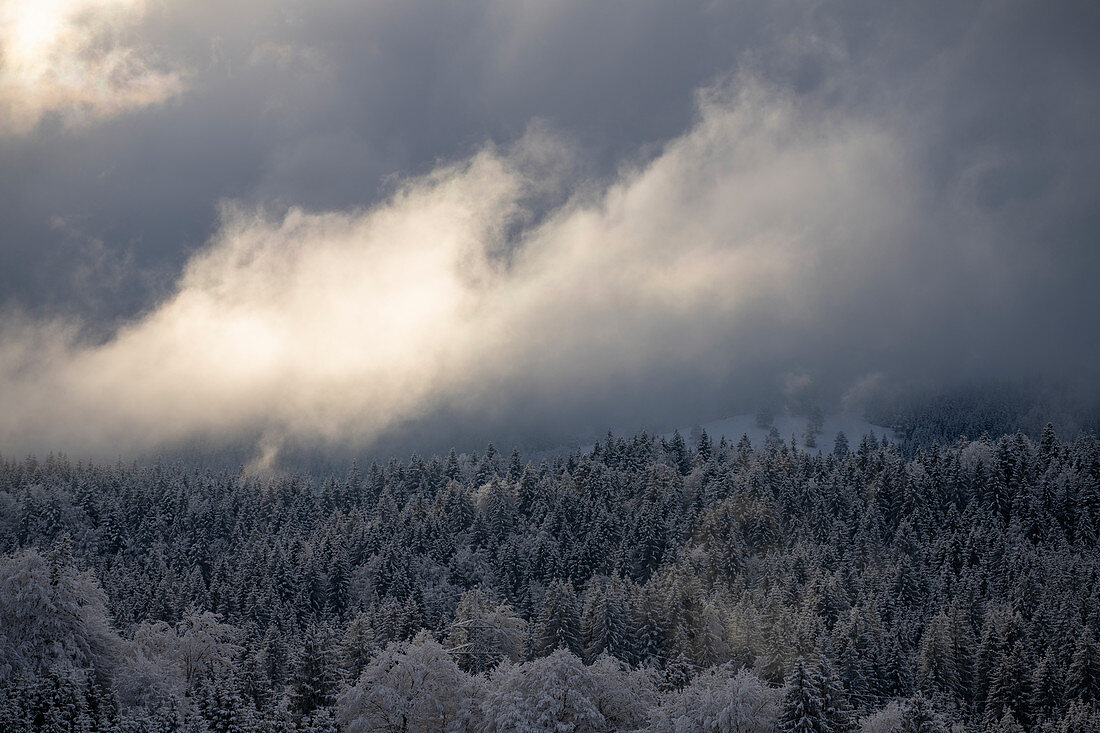 Wolkenverhangender schneebedeckter Nadelwald im Morgenlicht, Krün, Bayern, Deutschland.