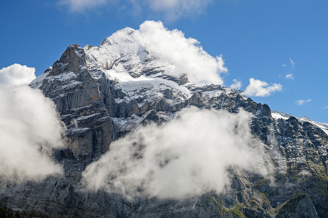 Wetterhorn in Wolken, vom First, Grindelwald, Berner Oberland, UNESCO Weltnaturerbe Schweizer Alpen Jungfrau-Aletsch, Berner Alpen, Bern, Schweiz