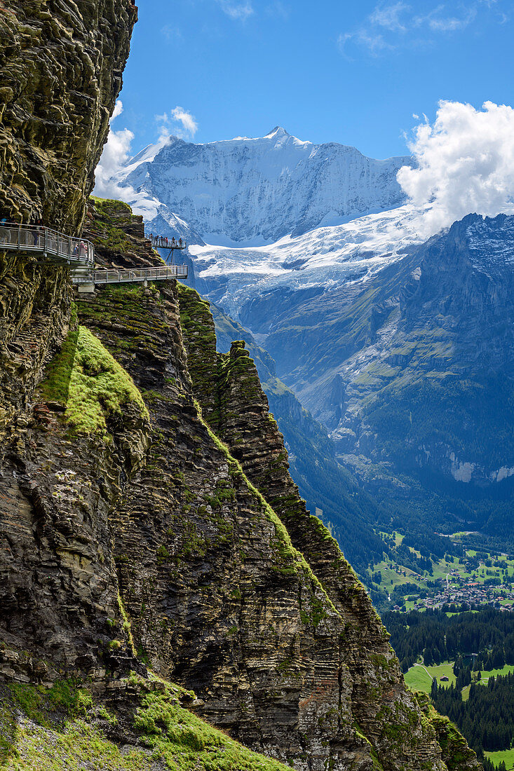 Several people stand on Cliff Walk with a view of Fiescherhorn, Tissot Cliff Walk, First, Grindelwald, Bernese Oberland, UNESCO World Natural Heritage Swiss Alps Jungfrau-Aletsch, Bernese Alps, Bern, Switzerland