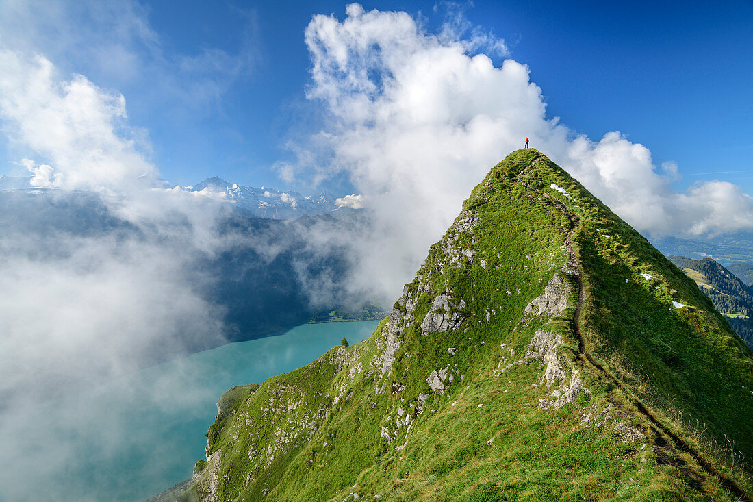 Frau beim Wandern steht auf Wiesengipfel, Brienzersee und Berner Alpen im Hintergrund, am Suggiturm, Augstmatthorn, Emmentaler Alpen, Bern, Schweiz