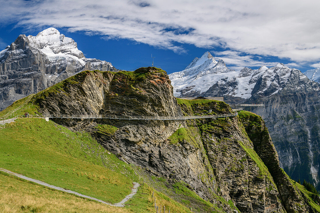 Cliff Walk mit Blick auf Wetterhorn und Schreckhorn, Tissot Cliff Walk am First, Grindelwald, Berner Oberland, UNESCO Weltnaturerbe Schweizer Alpen Jungfrau-Aletsch, Berner Alpen, Bern, Schweiz