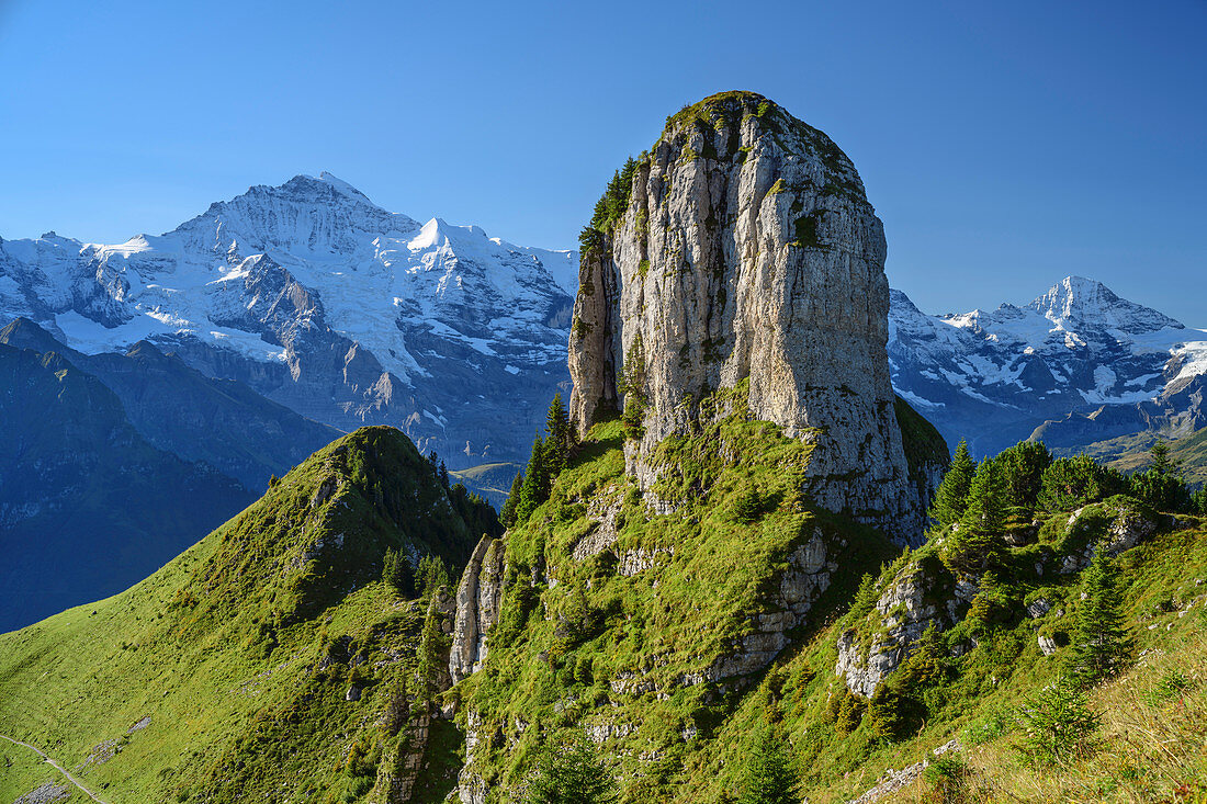 View of Gumihorn with Jungfrau in the background, from Schynigen Platte, Grindelwald, Bernese Oberland, UNESCO World Natural Heritage Swiss Alps Jungfrau-Aletsch, Bernese Alps, Bern, Switzerland