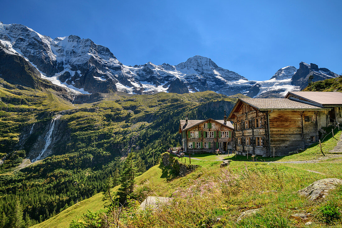 Almsiedlung Obersteinberg mit Großhorn, Breithorn und Tschingelhorn im Hintergrund, Obersteinberg, Berner Oberland, UNESCO Weltnaturerbe Schweizer Alpen Jungfrau-Aletsch, Berner Alpen, Bern, Schweiz