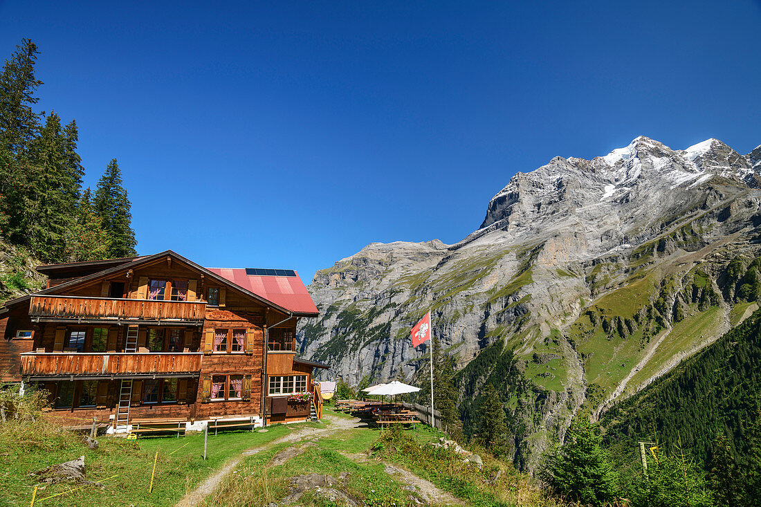Berggasthof Tschingelhorn mit Jungfrau im Hintergrund, Lauterbrunnen, Berner Oberland, UNESCO Weltnaturerbe Schweizer Alpen Jungfrau-Aletsch, Berner Alpen, Bern, Schweiz