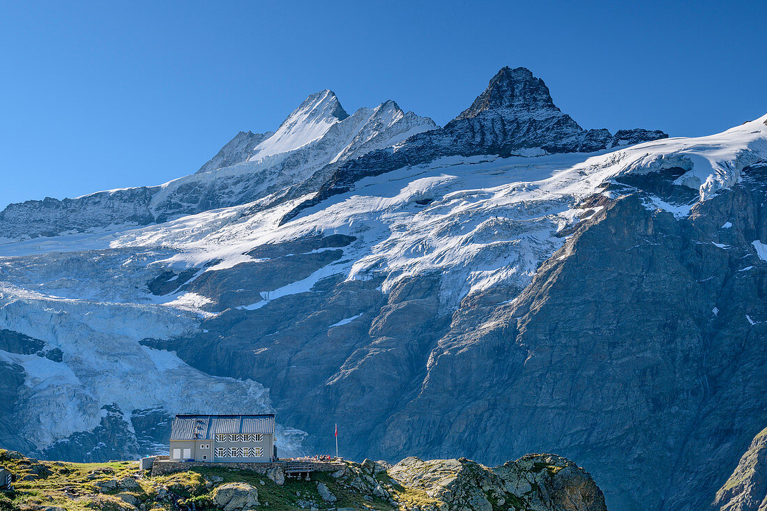 Glecksteinhütte in front of Schreckhorn, Klein Schreckhorn and Oberer Grindelwald Glacier, Glecksteinhütte, Bernese Oberland, UNESCO World Natural Heritage Swiss Alps Jungfrau-Aletsch, Bernese Alps, Bern, Switzerland