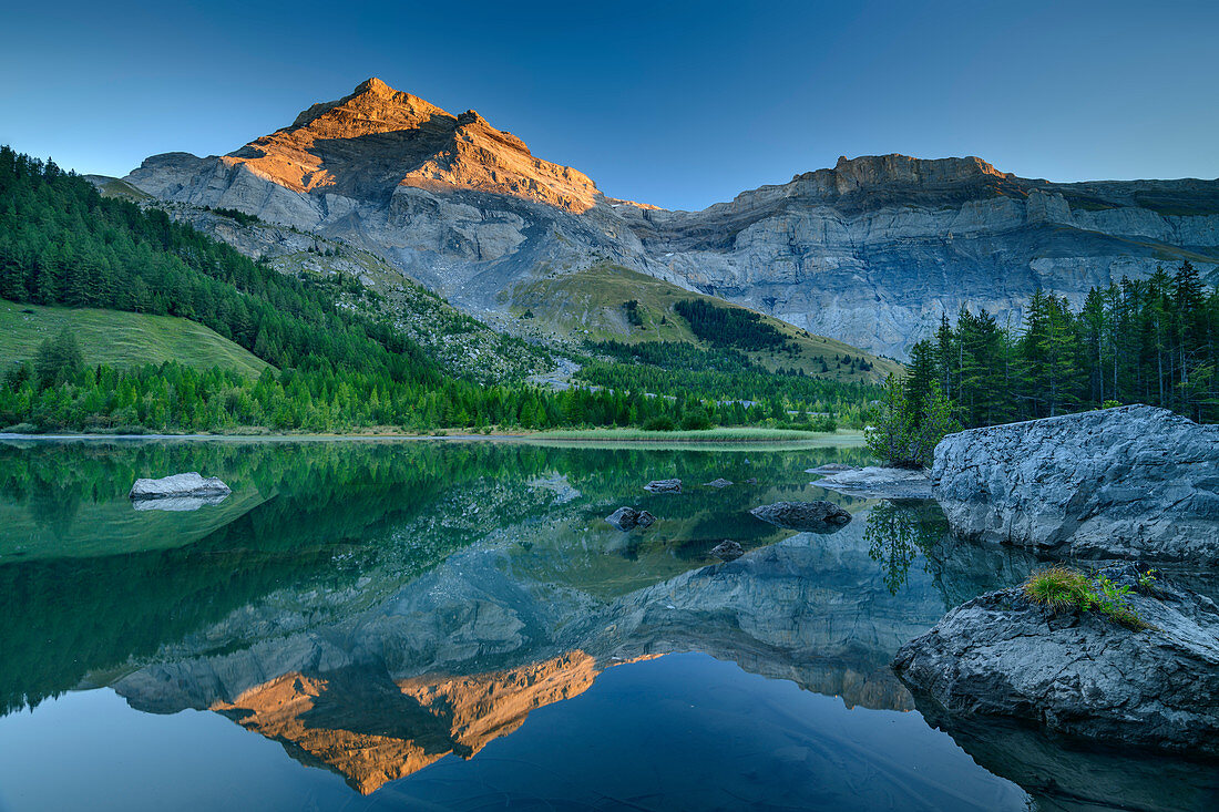 Les Diablerets in first light are reflected in Lac de Deborence, Lac de Deborence, Bernese Alps, Valais, Switzerland