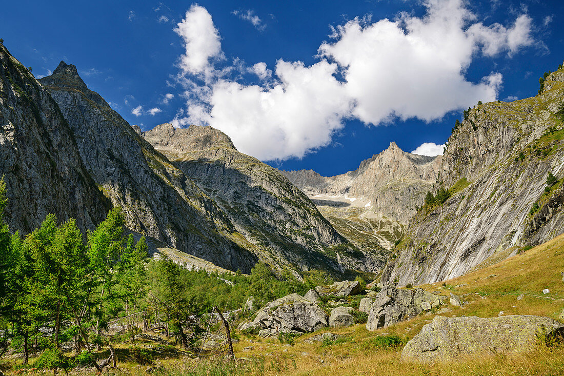 Blick über Baltschiedertal auf Berner Alpen, Berner Alpen, Wallis, Schweiz
