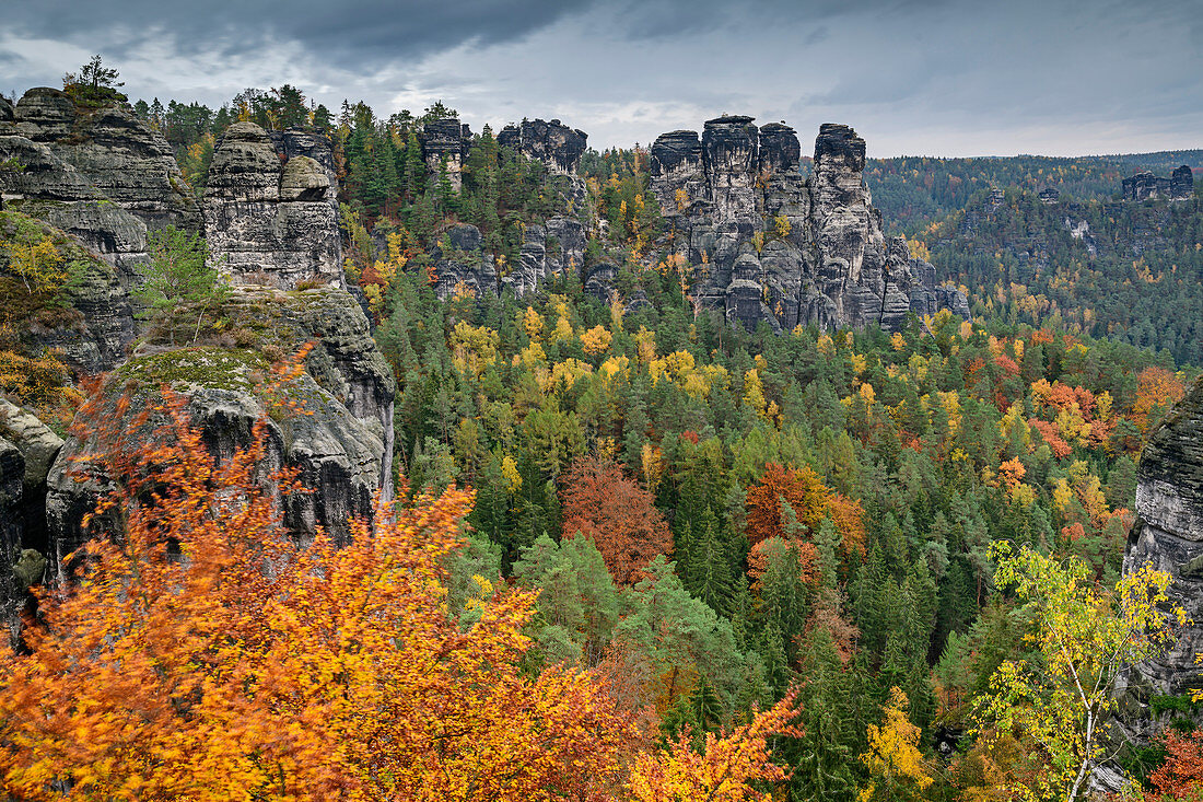 Herbststimmung an der Bastei, Bastei, Nationalpark Sächsische Schweiz, Sächsische Schweiz, Elbsandstein, Sachsen, Deutschland