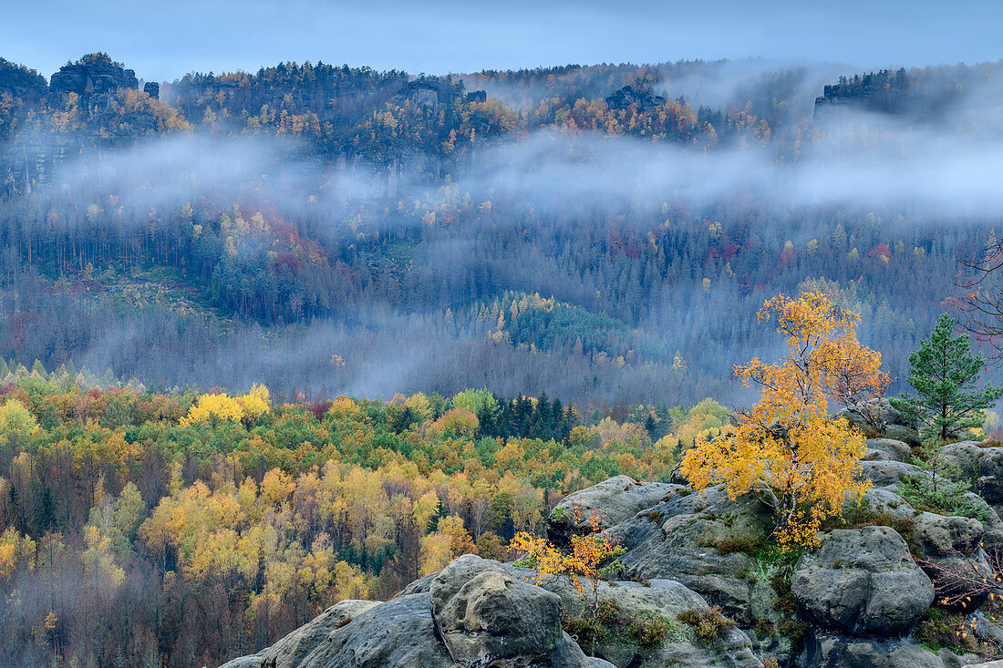 Fog mood over autumn-colored forest, from the cowshed, Kirnitzschtal, Saxon Switzerland National Park, Saxon Switzerland, Elbe Sandstone, Saxony, Germany