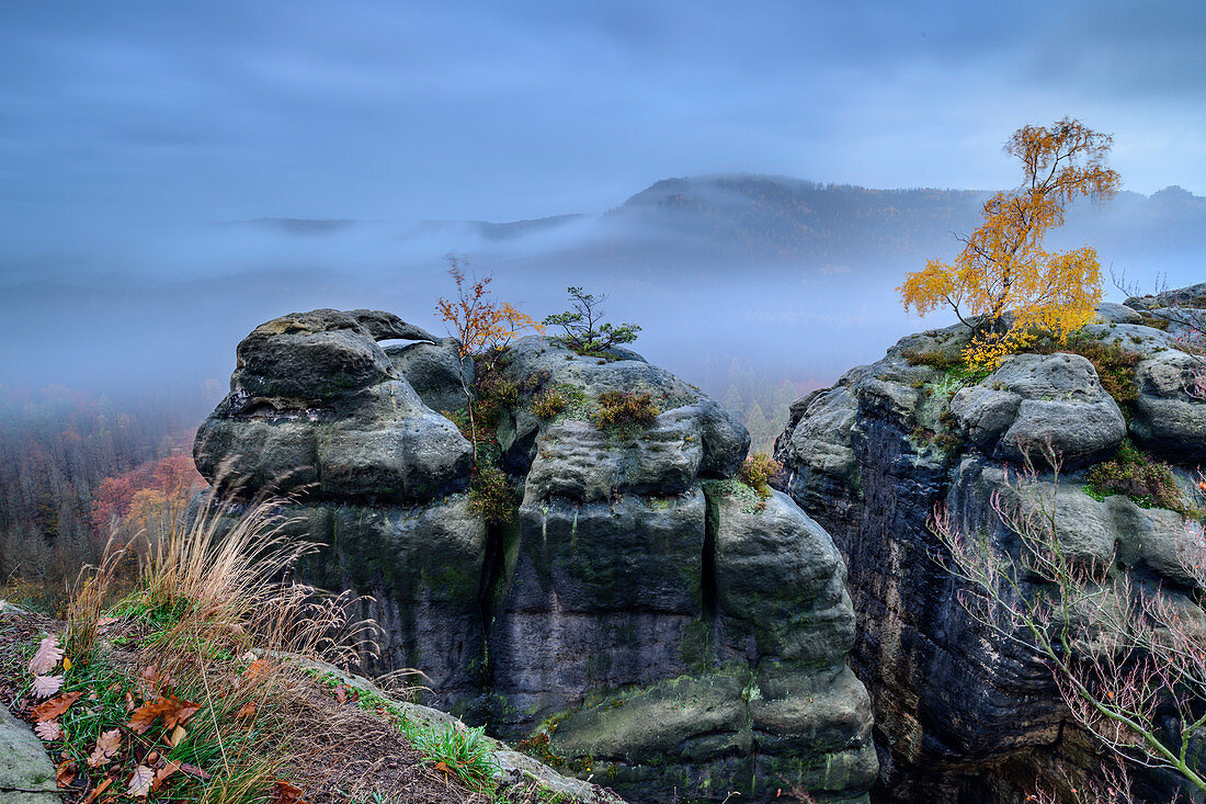 Nebelstimmung an Felstürmen des Kuhstall, Kuhstall, Kirnitzschtal, Nationalpark Sächsische Schweiz, Sächsische Schweiz, Elbsandstein, Sachsen, Deutschland