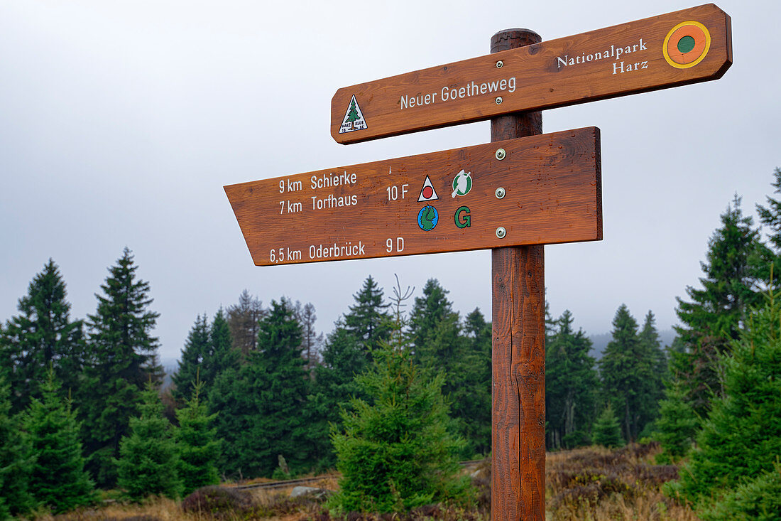Signpost in the Harz National Park, Brocken, Harz National Park, Harz, Saxony-Anhalt, Germany