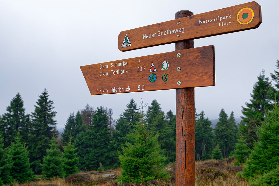 Wegweiser im Nationalpark Harz, Brocken, Nationalpark Harz, Harz, Sachsen-Anhalt, Deutschland