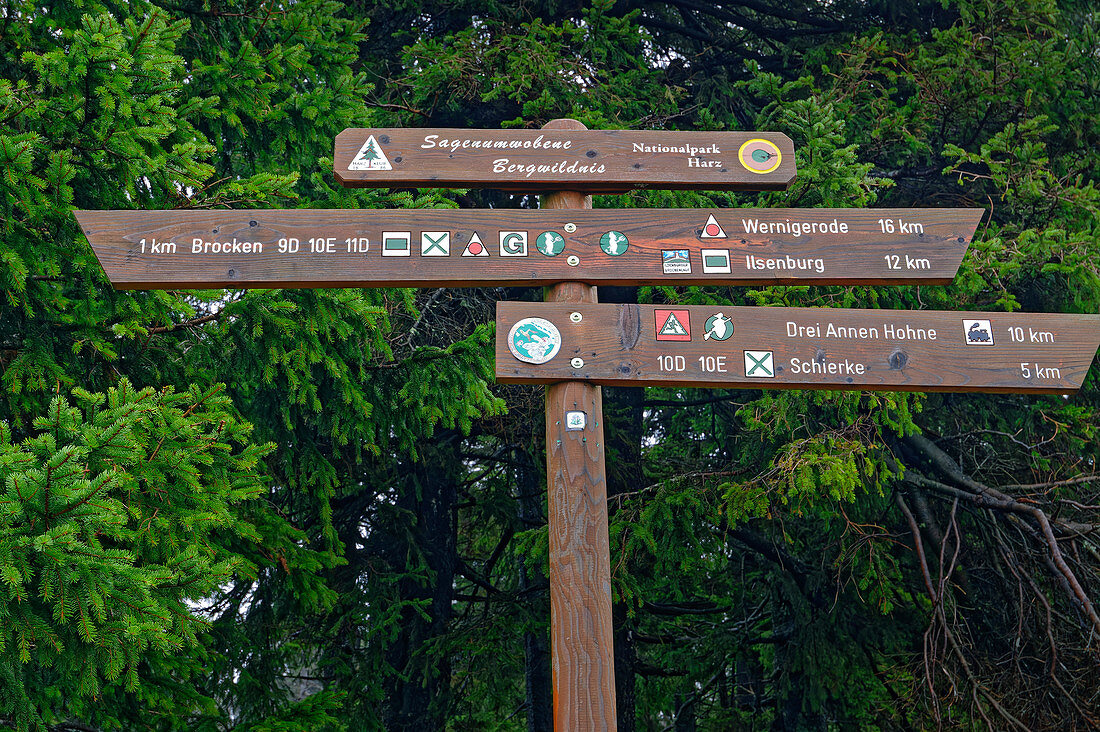 Signpost in the Harz National Park, Brocken, Harz National Park, Harz, Saxony-Anhalt, Germany
