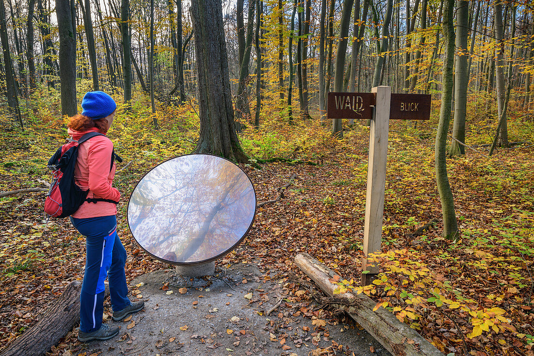 Frau beim Wandern blickt in Spiegel, Waldpromenade, Nationalpark Hainich, Thüringen, Deutschland