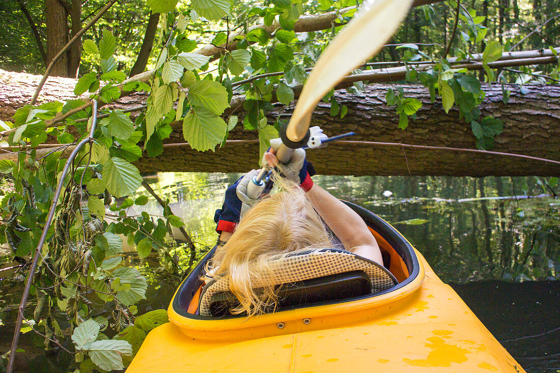 Paddlerin im Kajak vor umgestürtzem Baum, Deutschland, Brandenburg, Spreewald