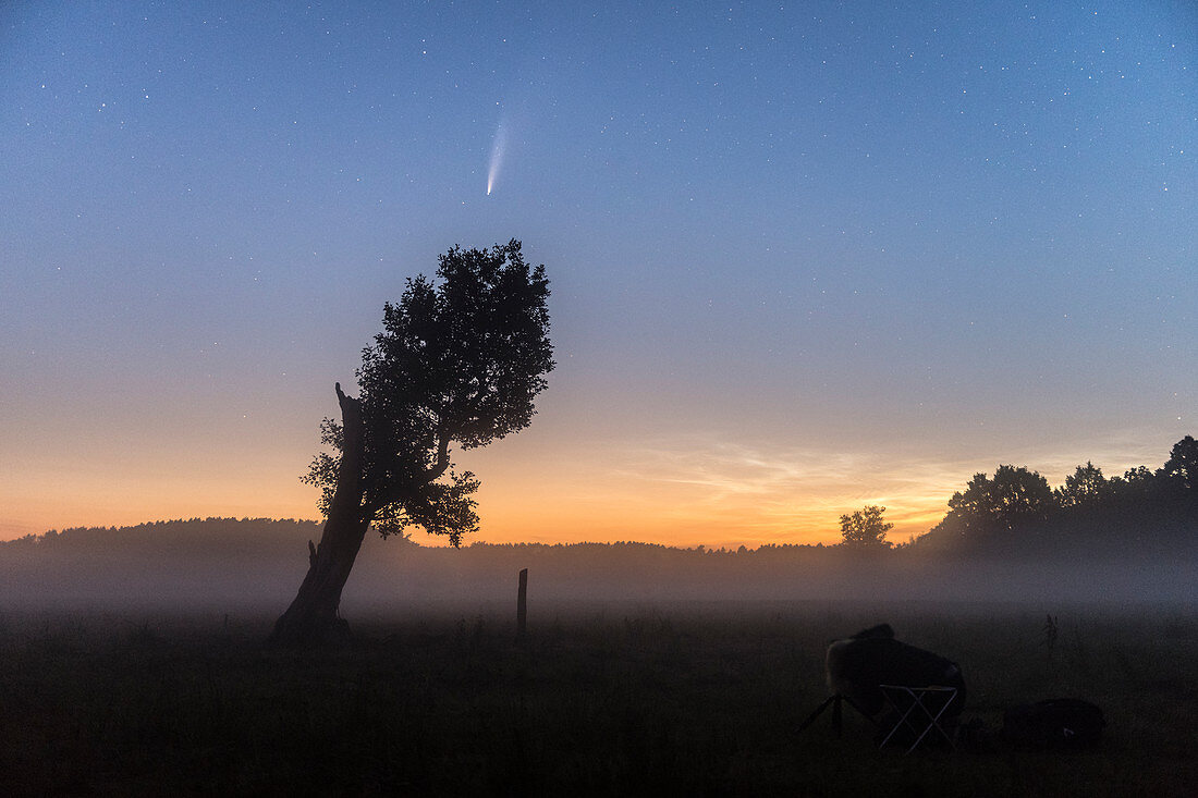 Komet NEOWISE wird fotografierrt vor knochigem alten Baum auf vernebelter Wiese, Deutschland, Brandenburg, Spreewald