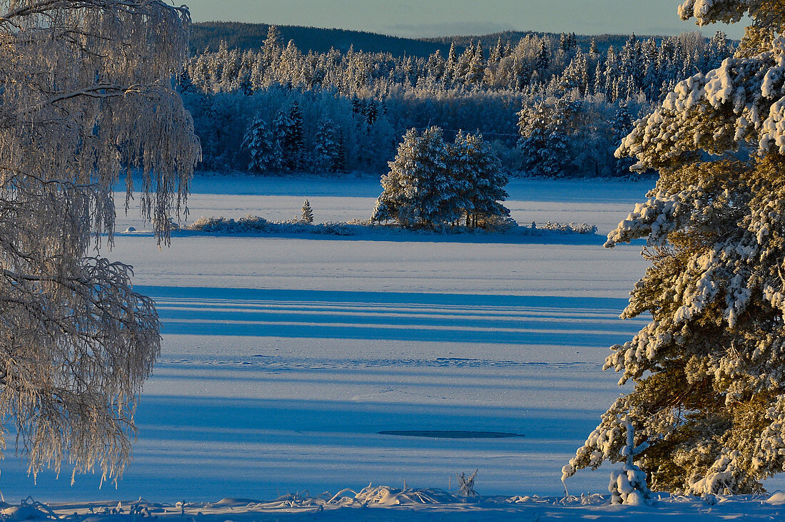 A lake in deep winter with snowy trees, Slagnäs, Lapland, Sweden