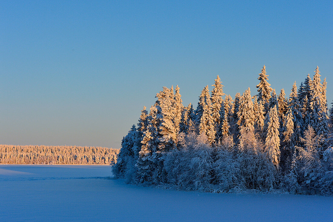 Lake with ice and snow and winter forest, Mellanström, Lapland, Sweden